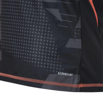 Carregar imagem no visualizador da galeria, Camisa Atlético Mineiro Goleiro 25/26 - Preta