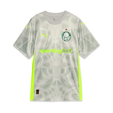 Carregar imagem no visualizador da galeria, Camisa Palmeiras Goleiro Third 25/26 - Cinza