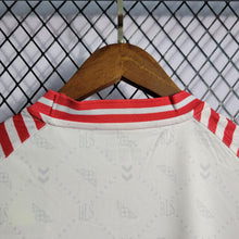 Carregar imagem no visualizador da galeria, Camisa Dinamarca Edição Especial 2022 - Branca